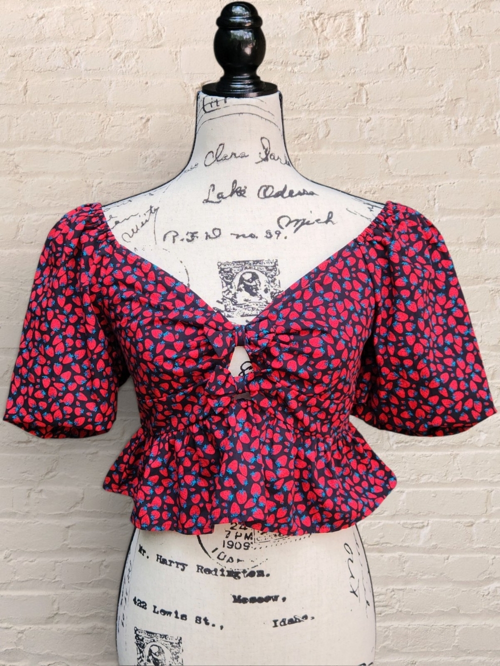 NWOT Band of the Free Puff Sleeve Strawberry Smocked Peplum Top With Bows Size M